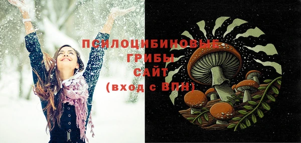 таблы Белокуриха